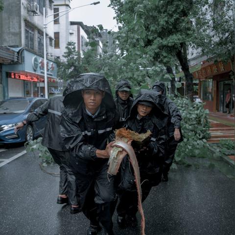 台风实时监控系统，科技之眼守护万家安宁