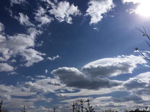 今日天气,阳光正好,微风不燥 今日天气,阳光正好,微风不燥