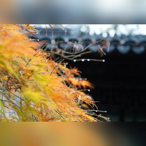 最精准的天气预报软件下载,告别出门被雨淋,这份实测清单请收好 最精准的天气预报软件下载,告别出门被雨淋,这份实测清单请收好