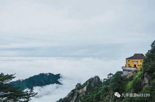 九华山旅游攻略，云端之上的心灵净土，这份超全指南请收好
