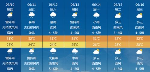 热带气候下的阳光与风雨之歌