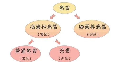 科学用药指南，流感治疗的正确选择与常见误区解析