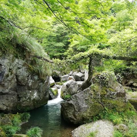 安徽未来七天天气预报，晴雨交替，气温起伏需留意