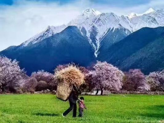 林芝的天气，藏地江南的温柔与变奏