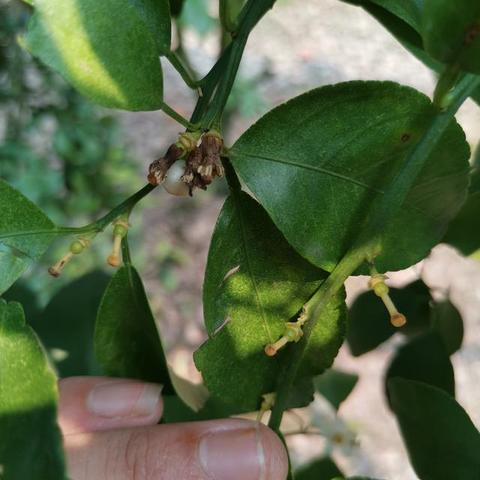 广西未来15天穿衣指南，天气多变，这样穿才舒适！