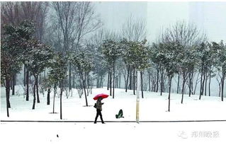 靖州今年会下雪吗