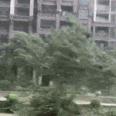广东天气预报15天查询最新消息，未来天气趋势与出行指南