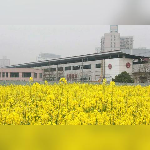 凯旋游戏官网,荣耀游戏中心 V3.58.2 ㊙️㊙️㊙️ 凯旋游戏官网,荣耀游戏中心 V3.58.2 ㊙️㊙️㊙️