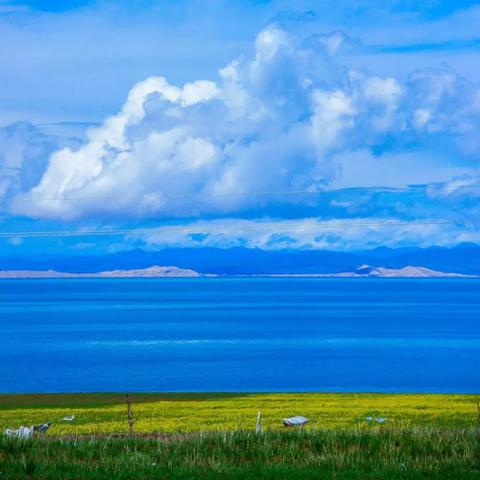 拉萨天气预报15天查询，高原之旅的出行指南✅网页版APP