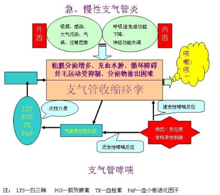 科学管理，哮喘除根的关键路径
