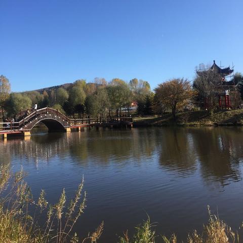 林都的呼吸，在伊春，天气预报是一场与森林的对话