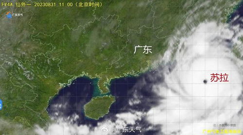惠东天气预报，双面海洋气候下的精准生活指南