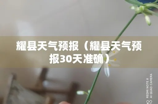耀县未来30天天气趋势分析与生活指南 V8.31.2