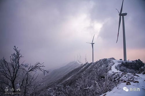岳西天气预报，山城冷暖的守护者