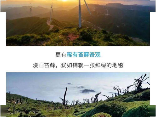 宜良天气预报，云卷云舒间的花乡生活指南