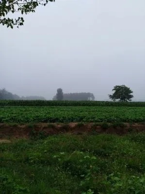 温县天气预报，守护农耕与生活的晴雨表