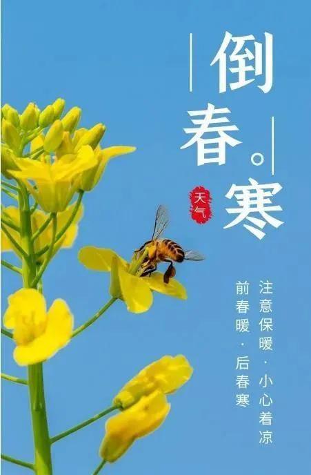 3月20日杭州天气，春分日里的一场温柔倒春寒