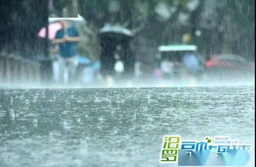 汨罗天气，一曲千年的冷暖诗篇