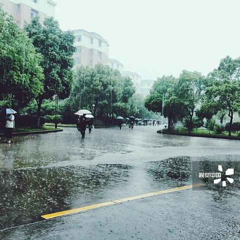 未来3天天气预报，气温起伏需留意，局地雷雨来叨扰