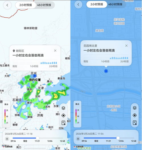 闵行天气预报，温柔的城市呼吸与气象智慧