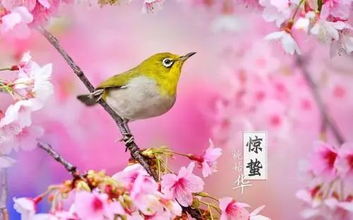 北京近15天天气，冷暖交替，春意渐浓