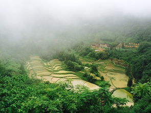 寿宁天气,云中山城的四季诗篇 寿宁天气,云中山城的四季诗篇
