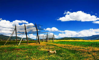 云南旅游景点推荐，探秘彩云之南的绝美秘境