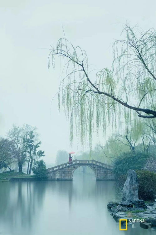 苏州未来一周多阴雨，江南烟雨入梦来