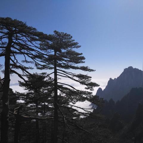 黄山风景区天气，瞬息万变的云端仙境