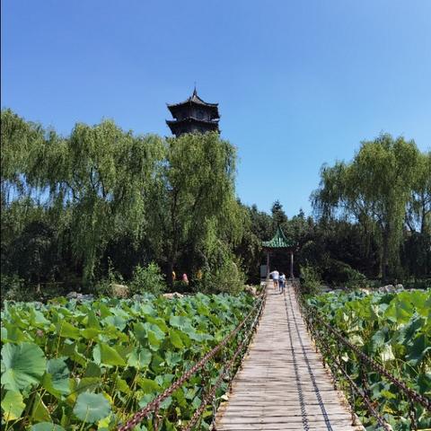 沈阳的天气预报，一座城市的季节密码