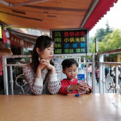 云南昆明天气预报15天查询，春日漫步前的必备功课